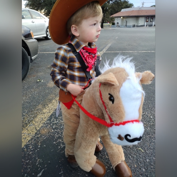 Meet your Posher, Victoria - Picture 3 of 9